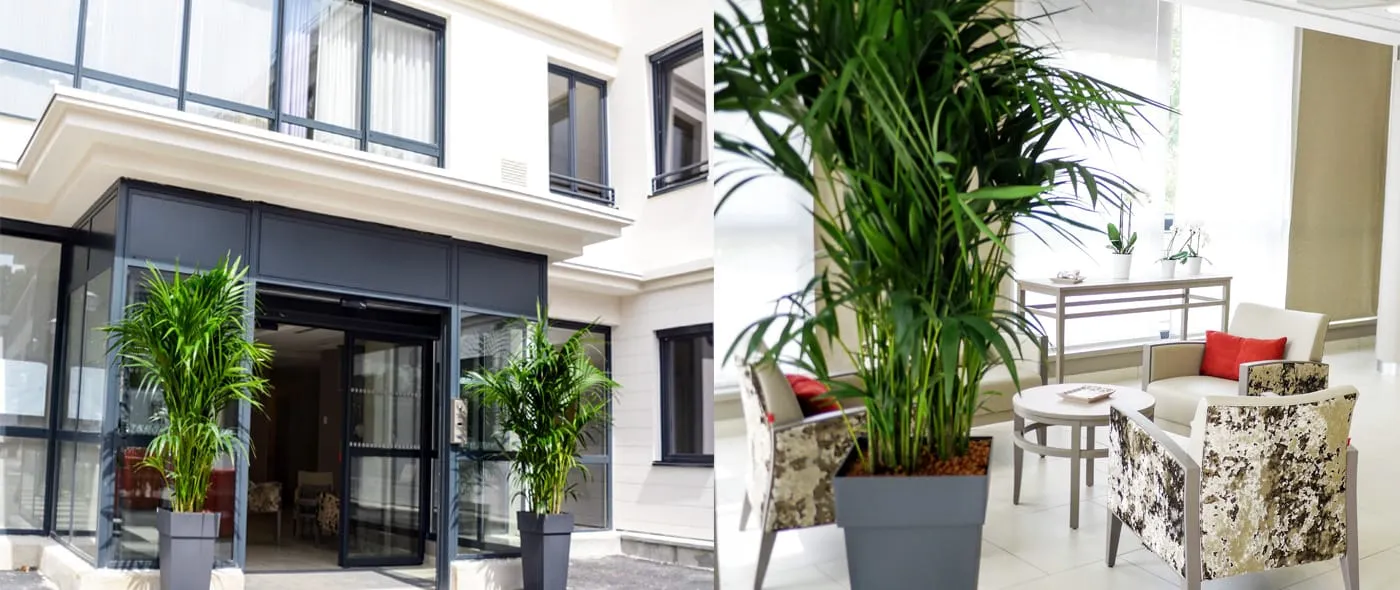 Le Chateau Saint Valery - Maison de retraite / EHPAD à Montmorency