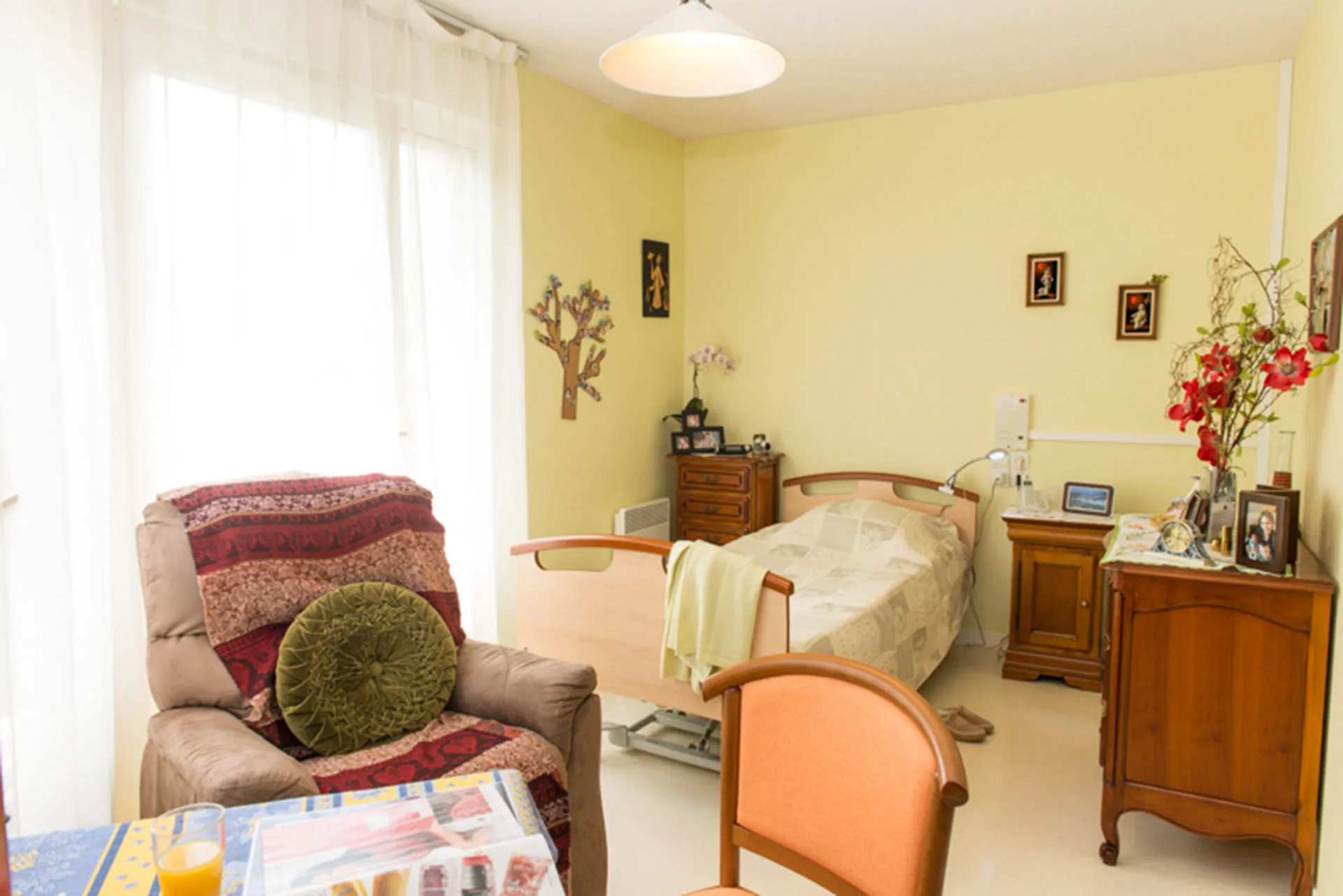 Photo de L'Orée des Pins