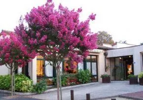 Photo de Maison De Retraite La Maisonnee St Martin - Résidence Services Seniors