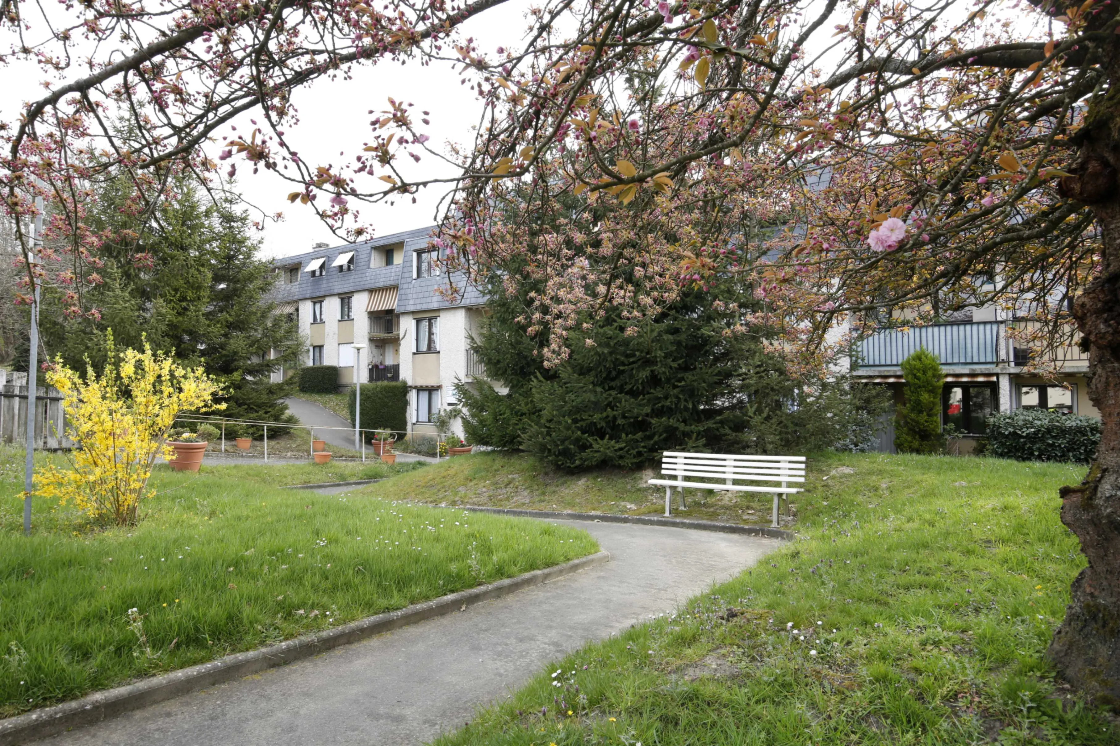 Photo de Residence Boissiere