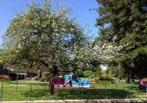 Photo principale de Maison De Retraite Fondation Eliza - Maison de retraite / EHPAD