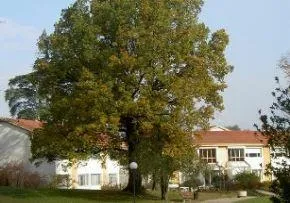 Ehpad Le Domaine De La Chaux - Maison de retraite / EHPAD à Saint-Cyr-au-Mont-d'Or