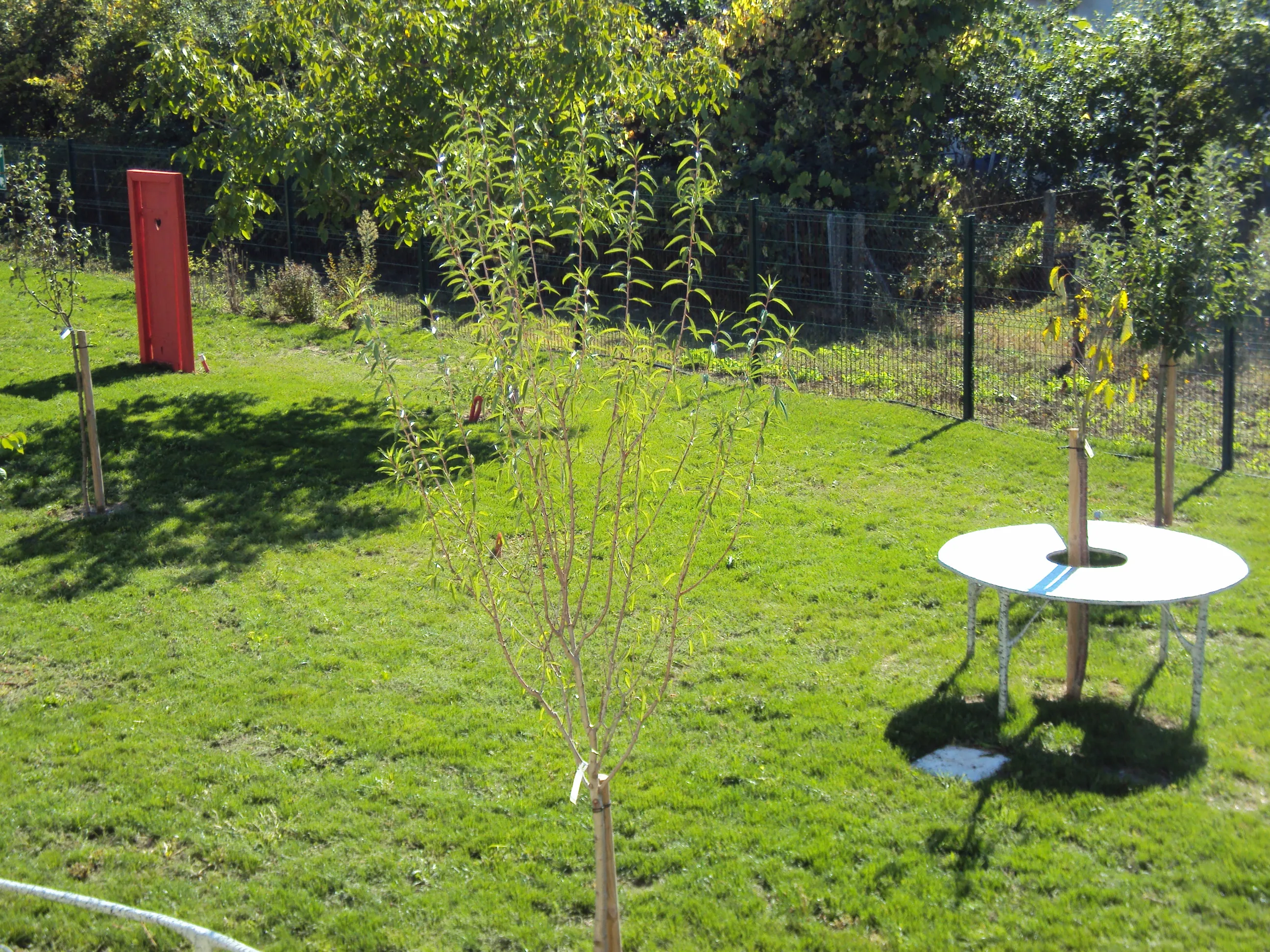 Photo de La Maison Claude De France