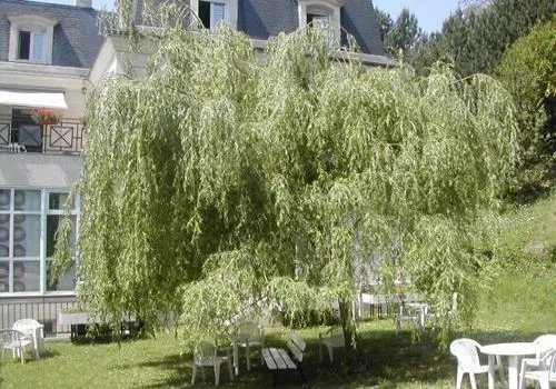 Photo de Maison de Retraite La Valouise