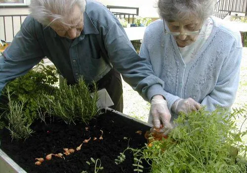 Photo de Maison de Retraite La Valouise