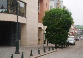 Photo principale de Residence Les Trois Roses - Maison de retraite / EHPAD