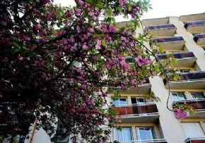Foyer Logement Maria Valtat - Résidence Services Seniors à Le Blanc-Mesnil