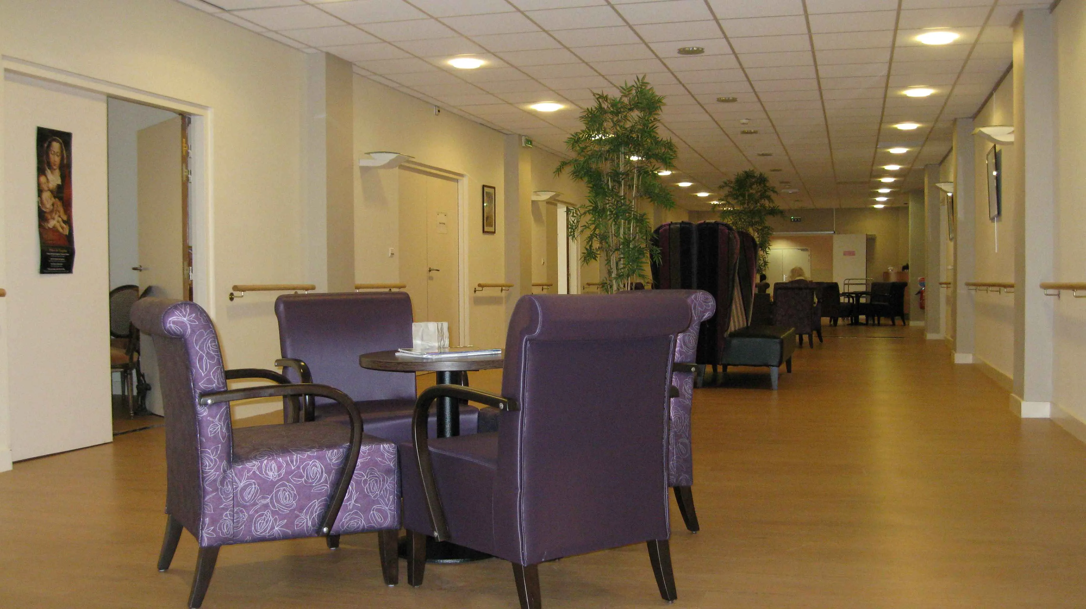 Photo principale de Résidence Les Marronniers - Maison de retraite / EHPAD