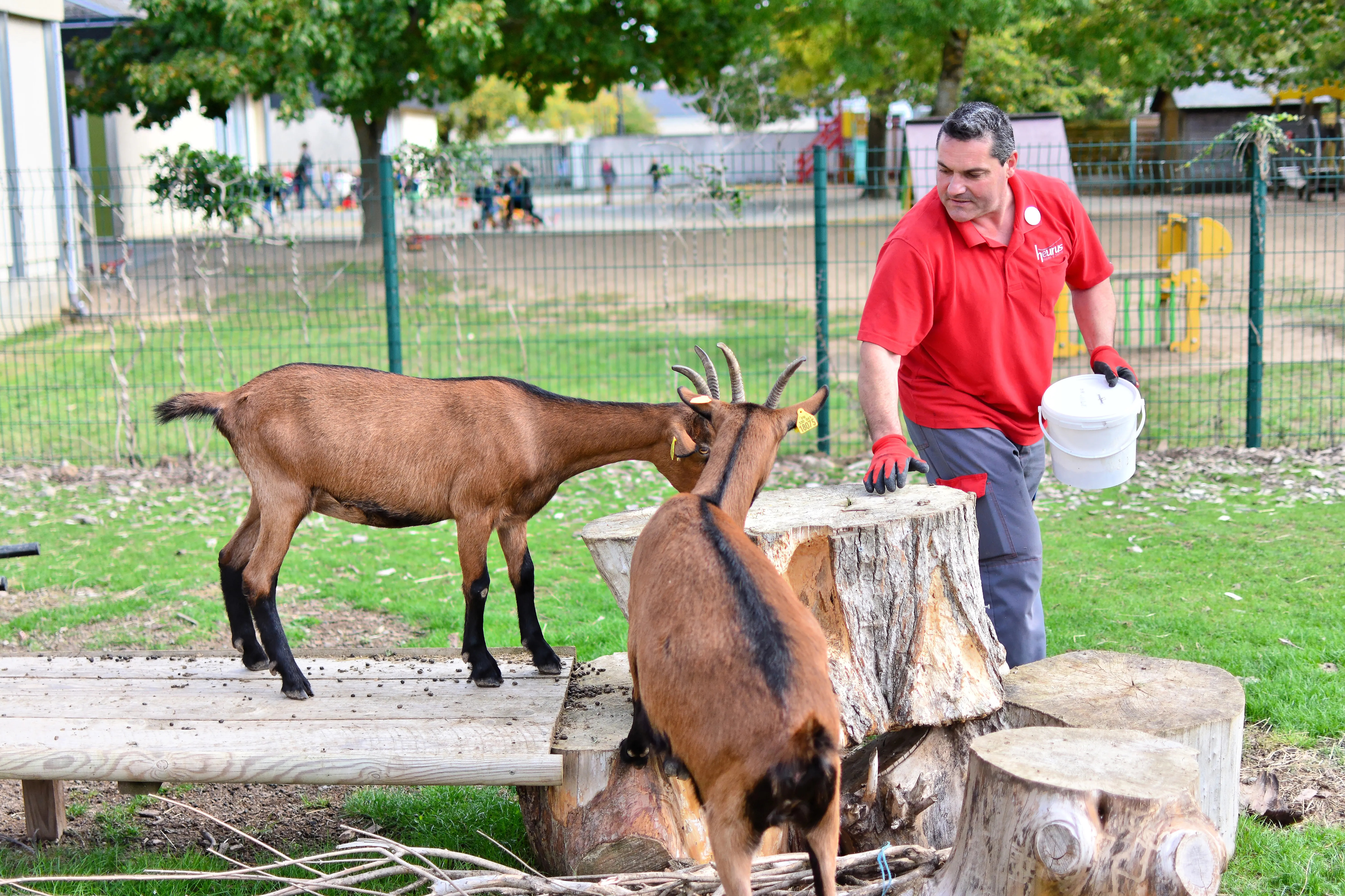 Photo de Blanche de Castille by Heurus