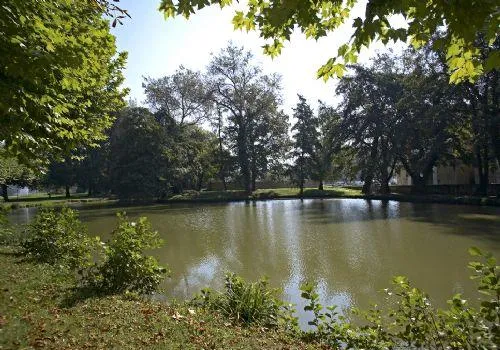 Photo de Ehpad - Parc des Salines