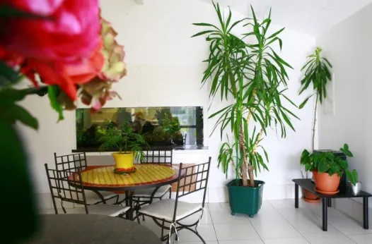 Photo de Ehpad Les Jardins D'Epargnes