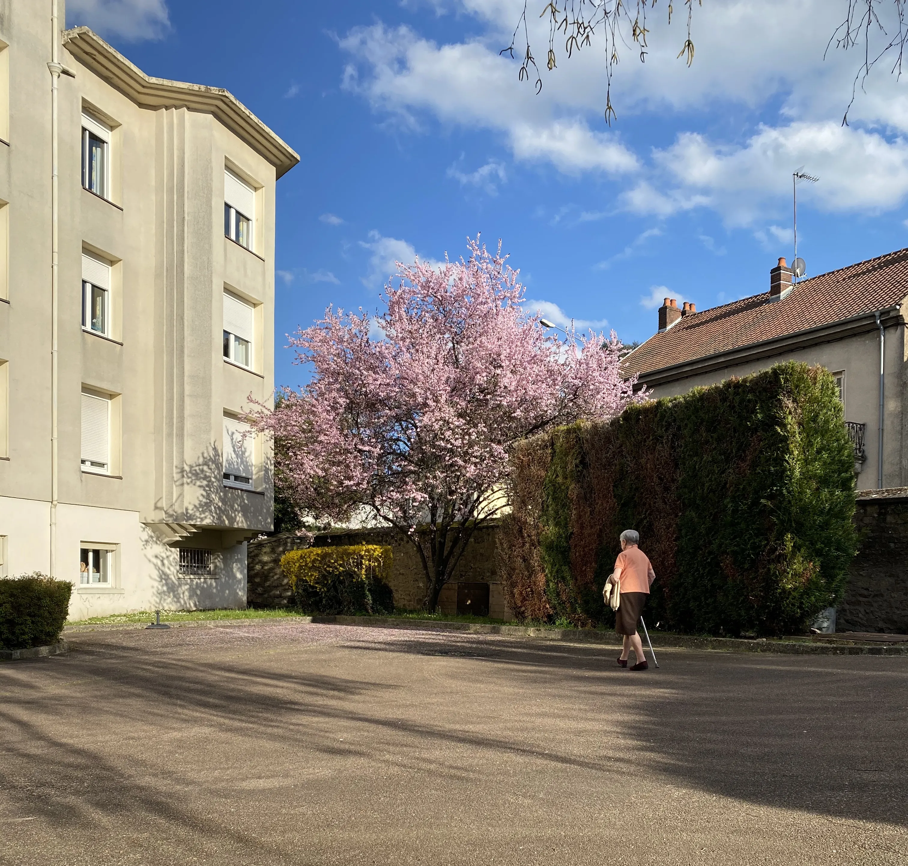 Photo de Villa Victor Hugo