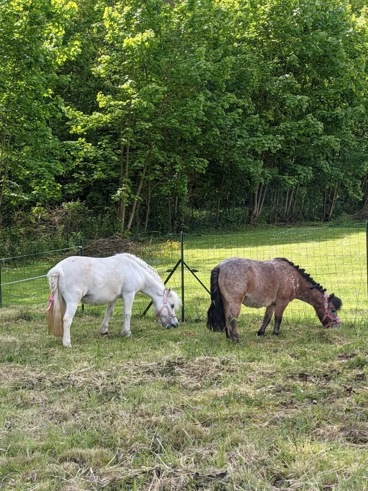 Photo principale de Residence Les Clos De St Martin D'Ablois - Maison de retraite / EHPAD
