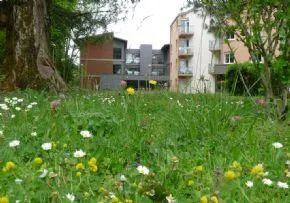 Photo de Ehpad Jardin Du Seillon - Résidence Services Seniors