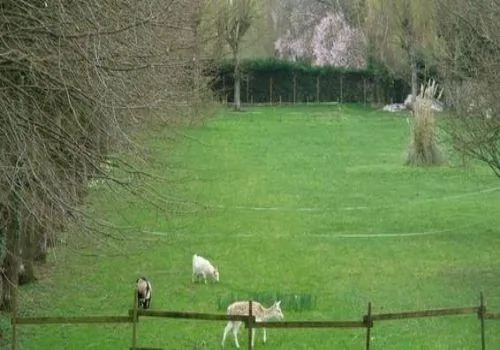 Photo de Chateau Du Plessis Picard - Maison de retraite / EHPAD