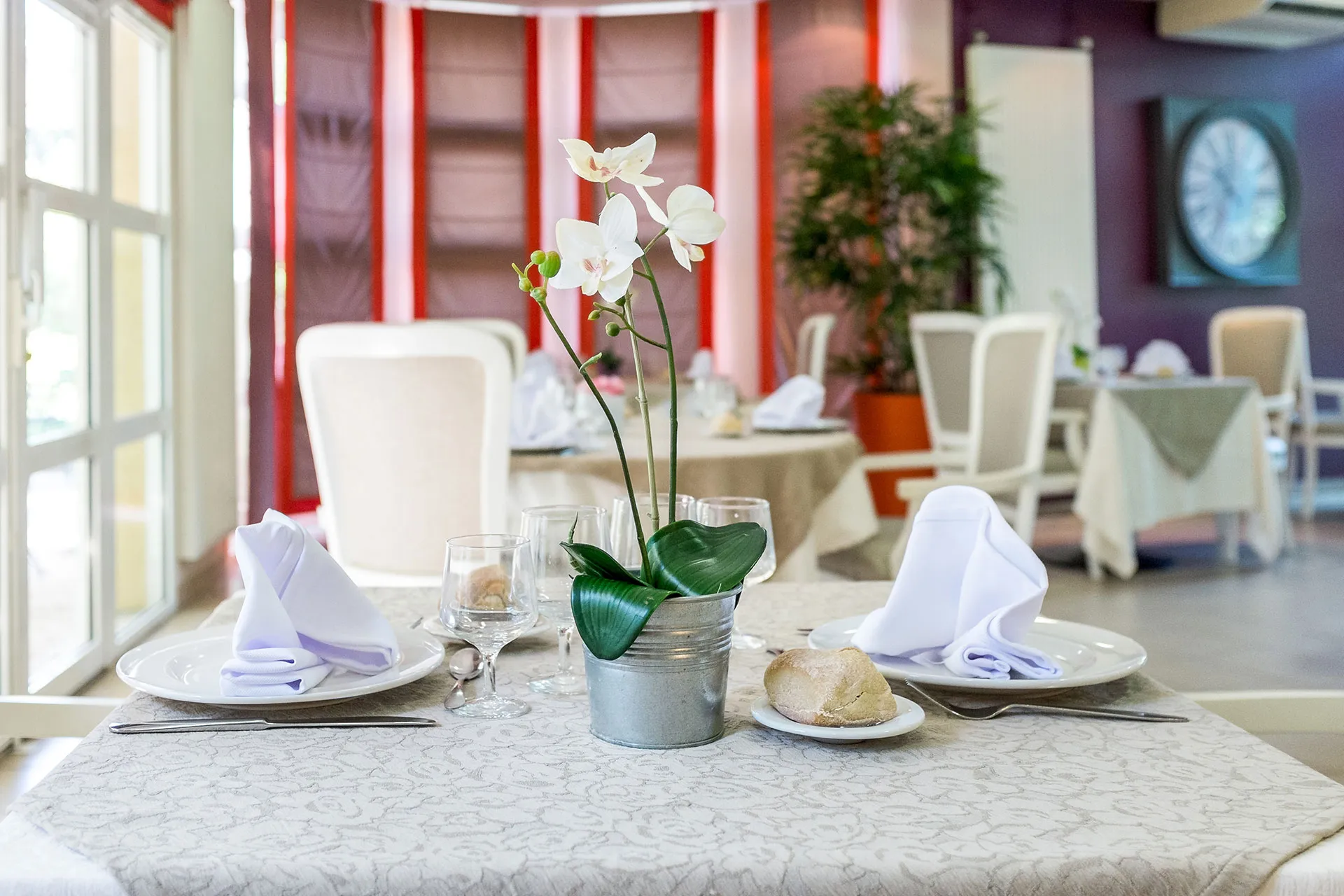 Photo de Les Amandiers de la Ressence - Maison de retraite / EHPAD