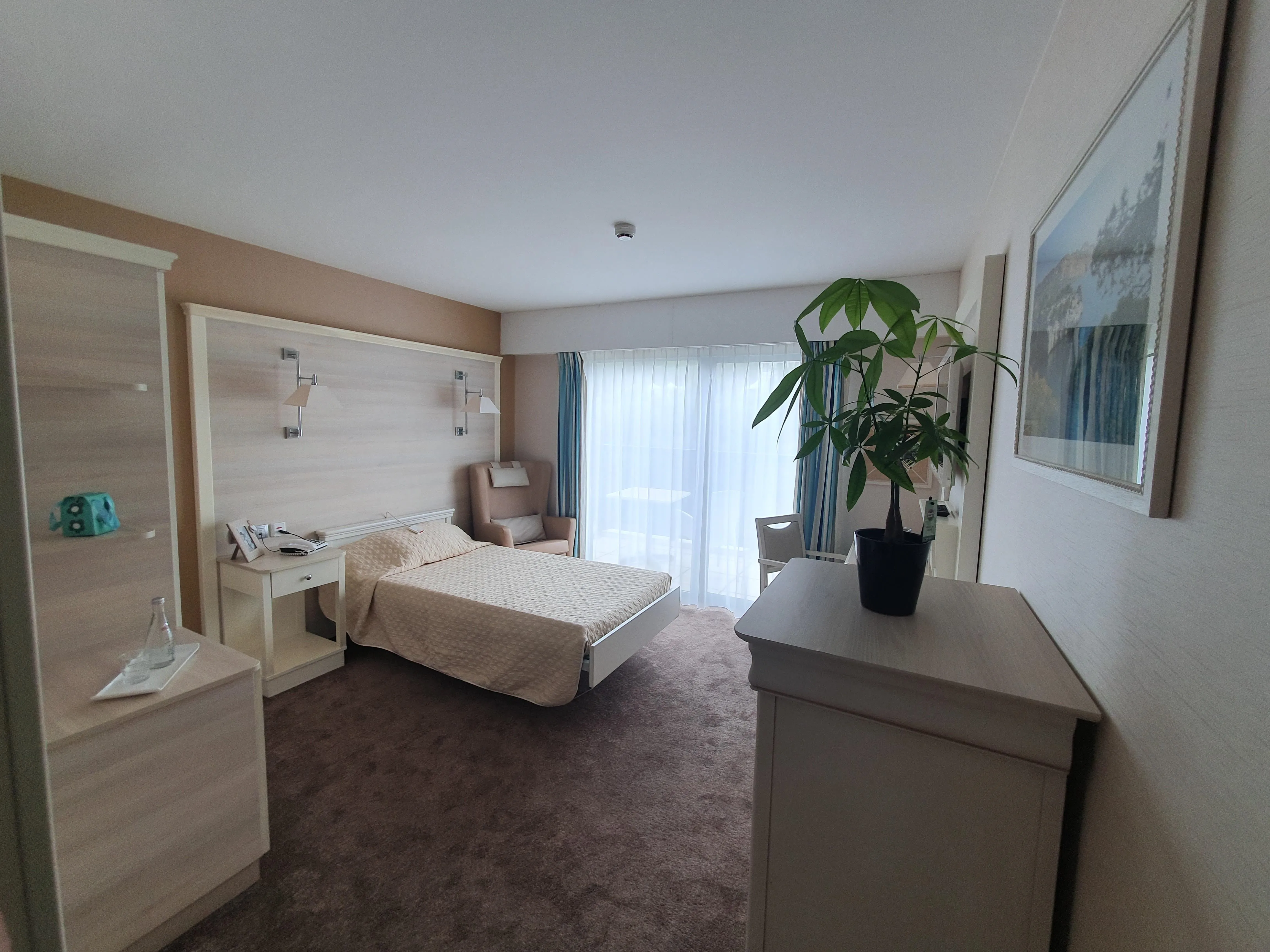 Photo de  Les Oliviers De Saint Laurent