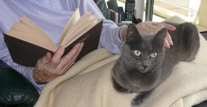 Les Residentiels Niort - Résidence Services Seniors à Niort