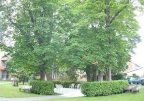 Centre D'Hebergement Temporaire Le Repos - Maison de retraite / EHPAD à Toulouse