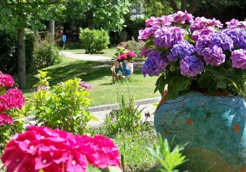 Photo principale de Residence Medicalisee Zemgor - Maison de retraite / EHPAD