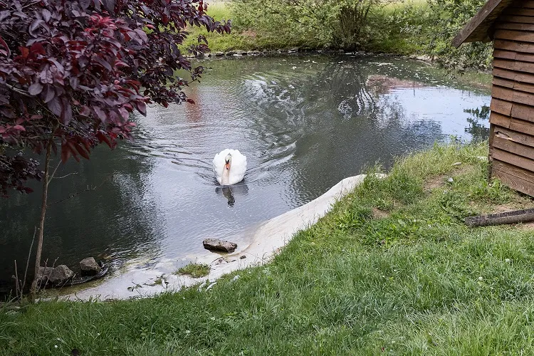 Photo de Résidence Les Jardins d'Ariane