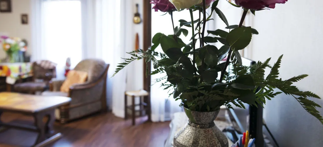 Photo de Residence Louis Grassi