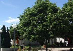 Photo de Marpa Lou Castelou - Résidence Services Seniors