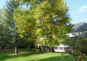 Photo de Maison De Retraite Les Hetres - Maison de retraite / EHPAD