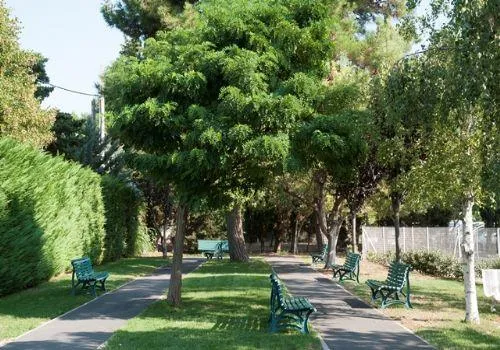 Photo de Résidence Les Camélias 