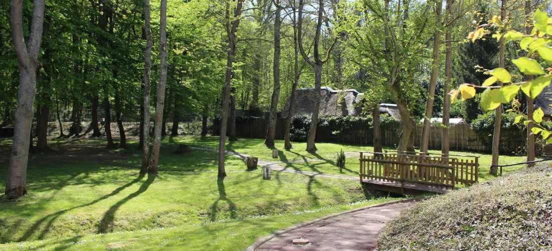 Photo de Résidence Les Sapins Bleus