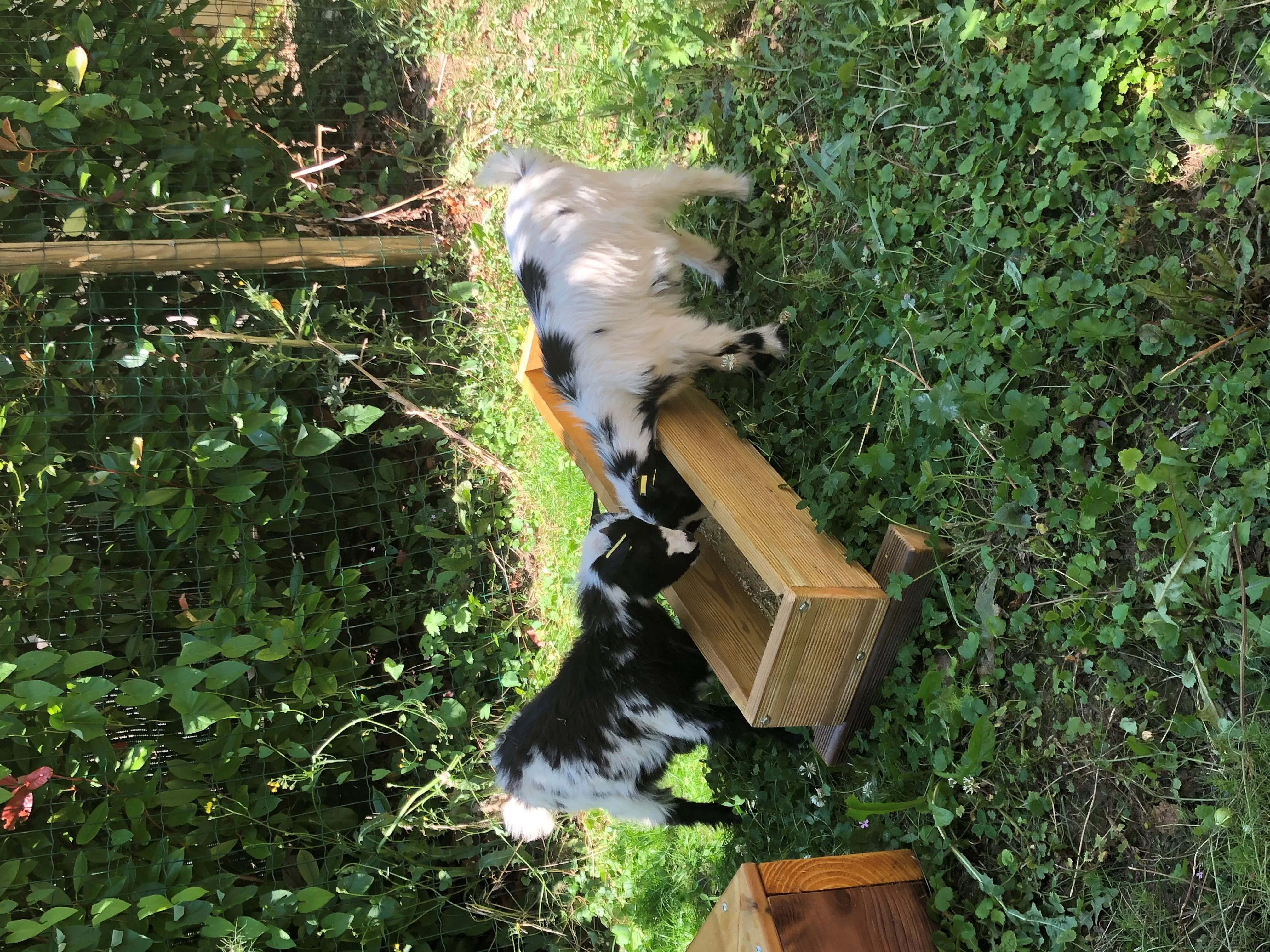 Photo de Korian La Détente - Maison de retraite / EHPAD