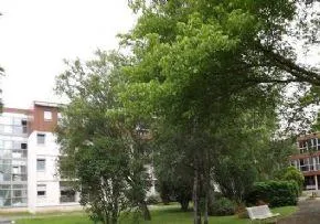 Ehpad Foyers Bataille - Résidence Services Seniors à Figeac