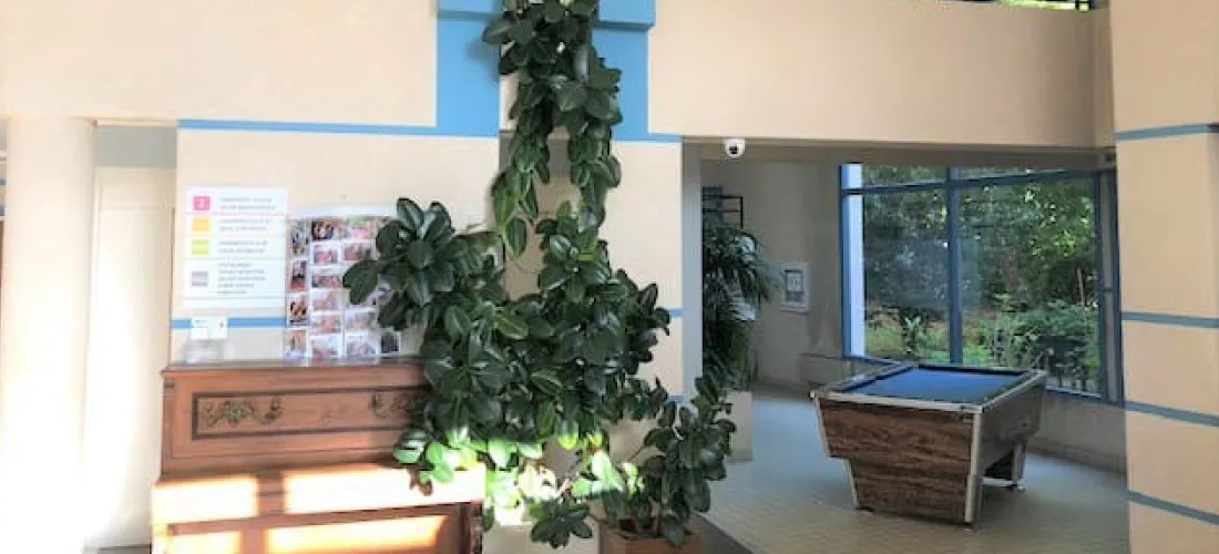 Photo de Résidence Les Pivoines