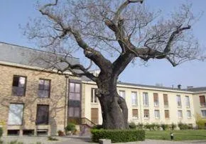 Maison De Retraite Le Sacre Coeur - Maison de retraite / EHPAD à Gentilly