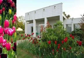 Photo de Residence Les Tulipes - Maison de retraite / EHPAD