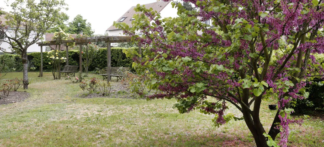 Photo de Résidence Yvonne Colas