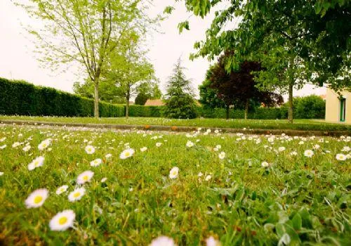 Photo de Résidence  Les Jonquilles