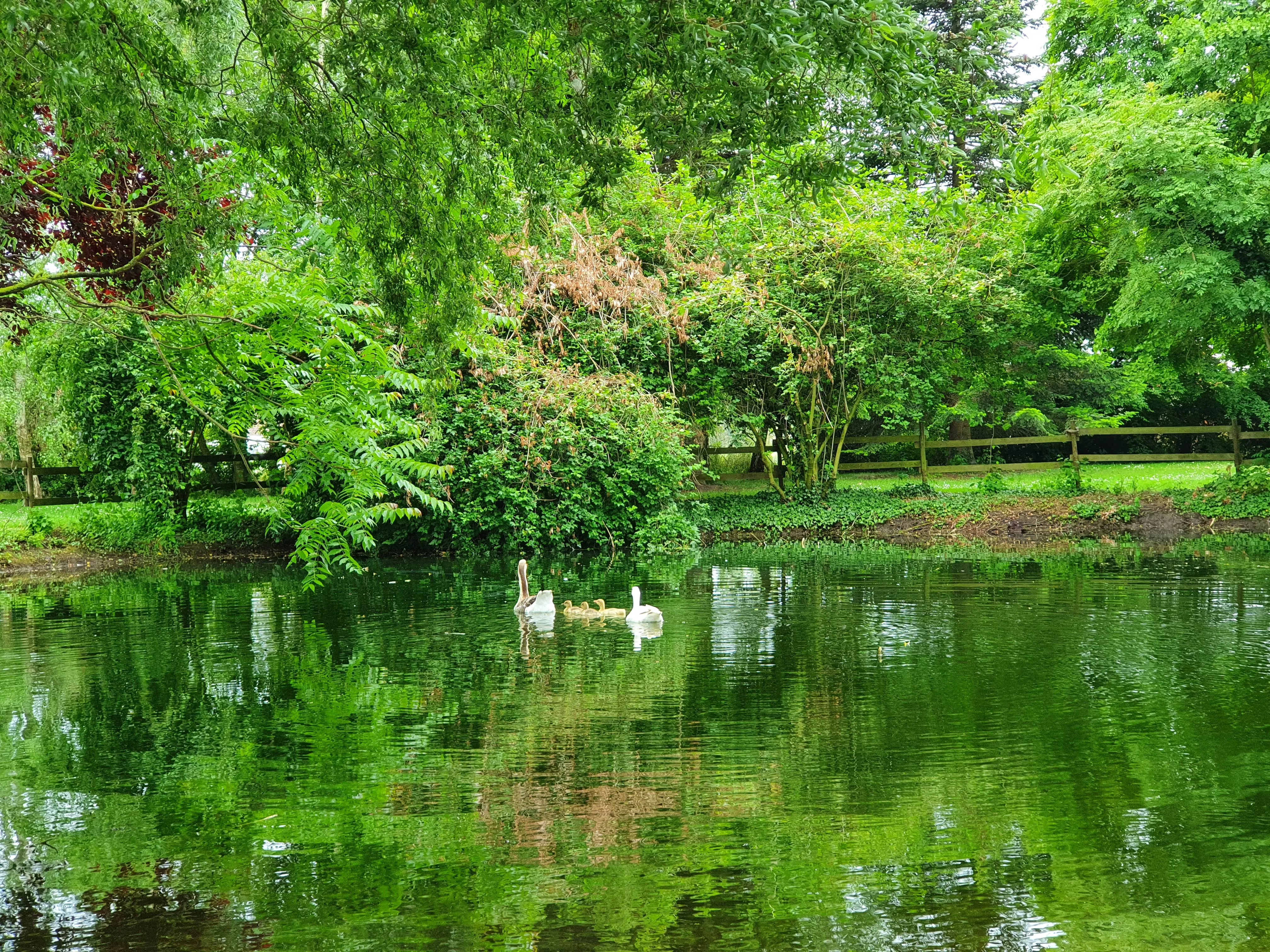 Photo principale de EHPAD Du Château De Cuinchy - Maison de retraite / EHPAD