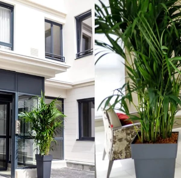 Le Chateau Saint Valery - Maison de retraite / EHPAD à Montmorency