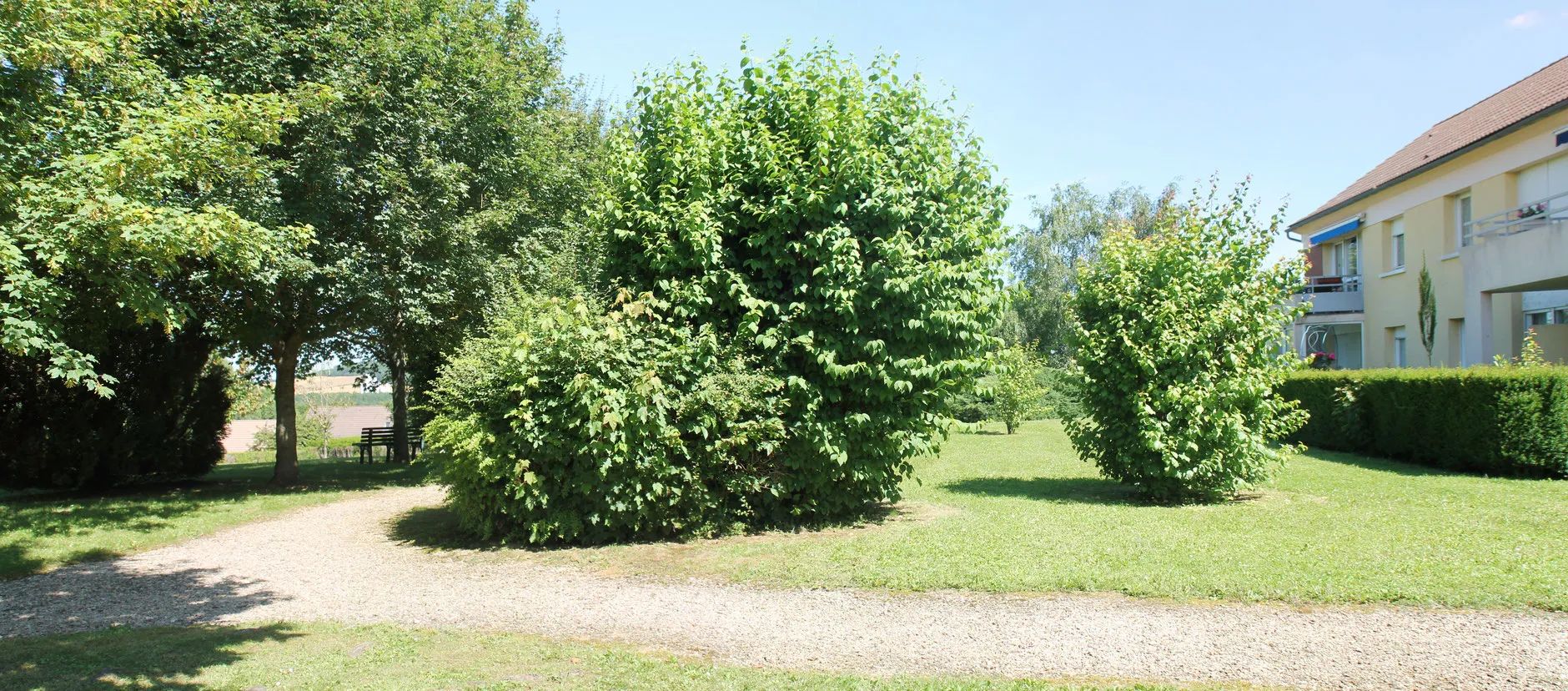 Photo de Résidence Jasmin