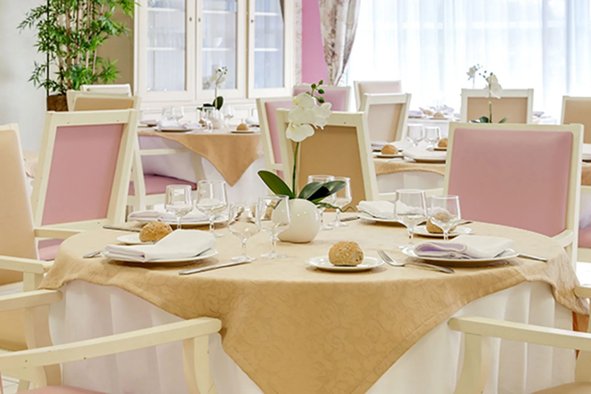 La Villa des Saules - Maison de retraite / EHPAD à Le Cannet