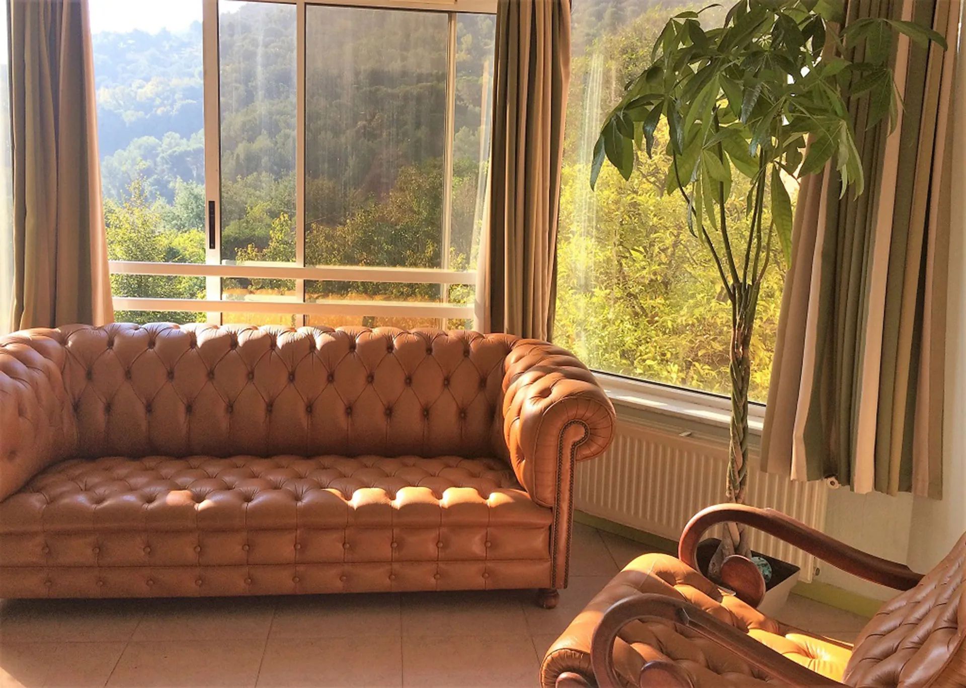 Photo de Les Hauts de Menton