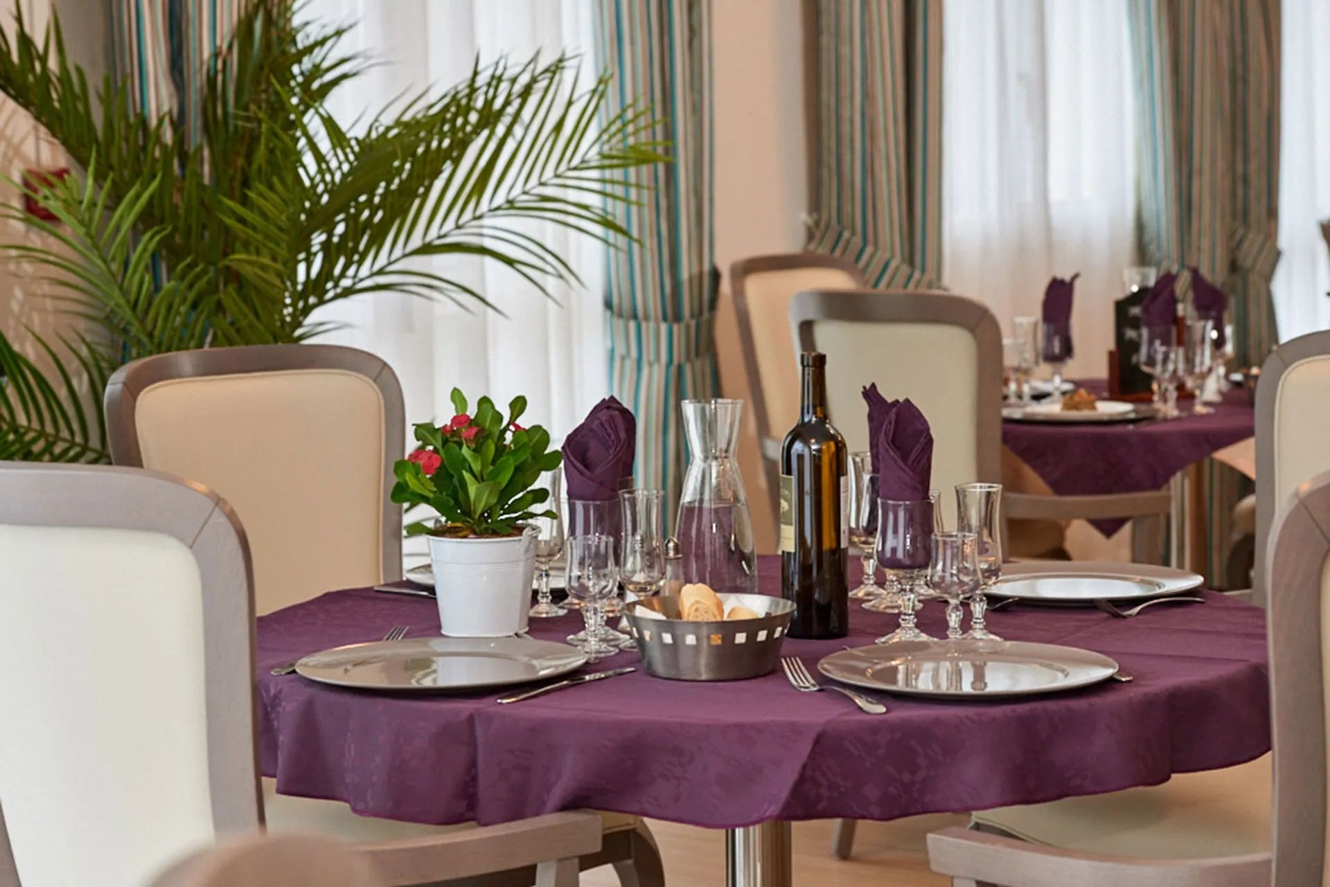 Photo de Les Cyclamens