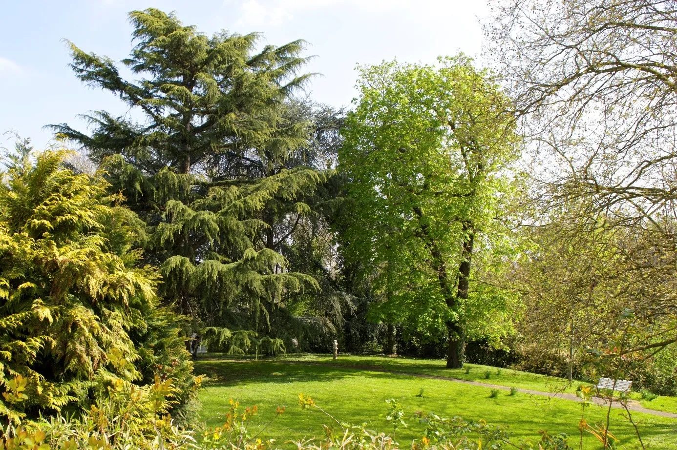 Photo de La Residence Les Roseraies