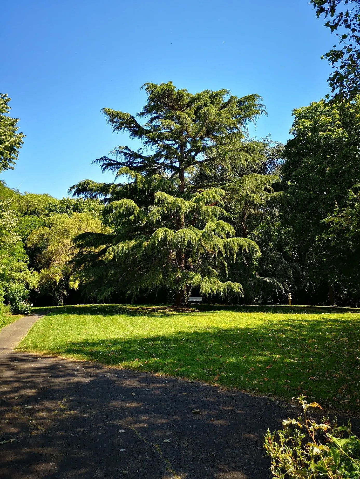 Photo de La Residence Les Roseraies