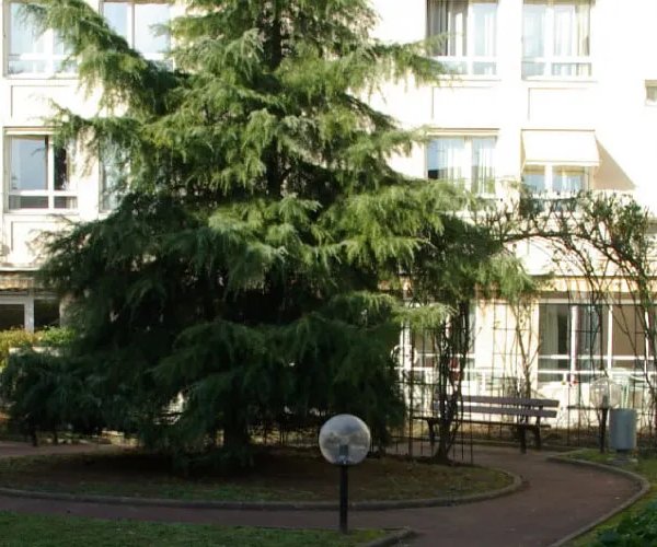 Residence Les Clairieres - Maison de retraite / EHPAD à Pavillons-sous-Bois