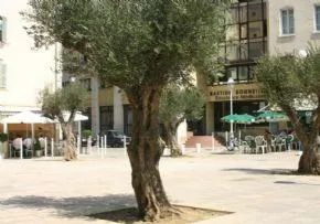 Résidence Bastide Bonnetières - Maison de retraite / EHPAD à Toulon