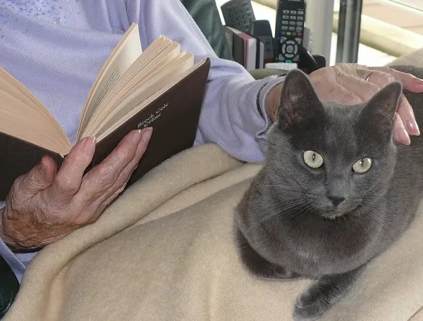 Les Residentiels Niort - Résidence Services Seniors à Niort