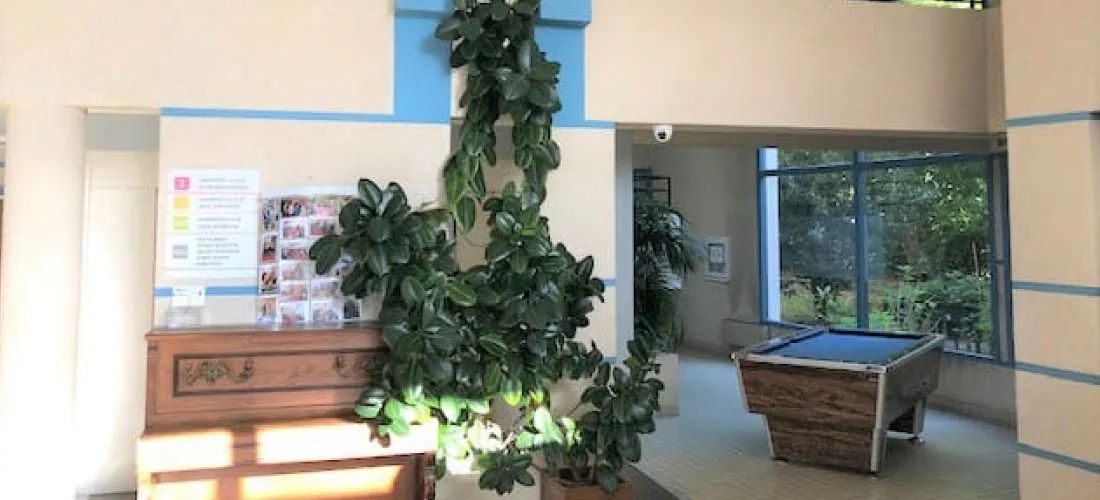 Photo de Résidence Les Pivoines