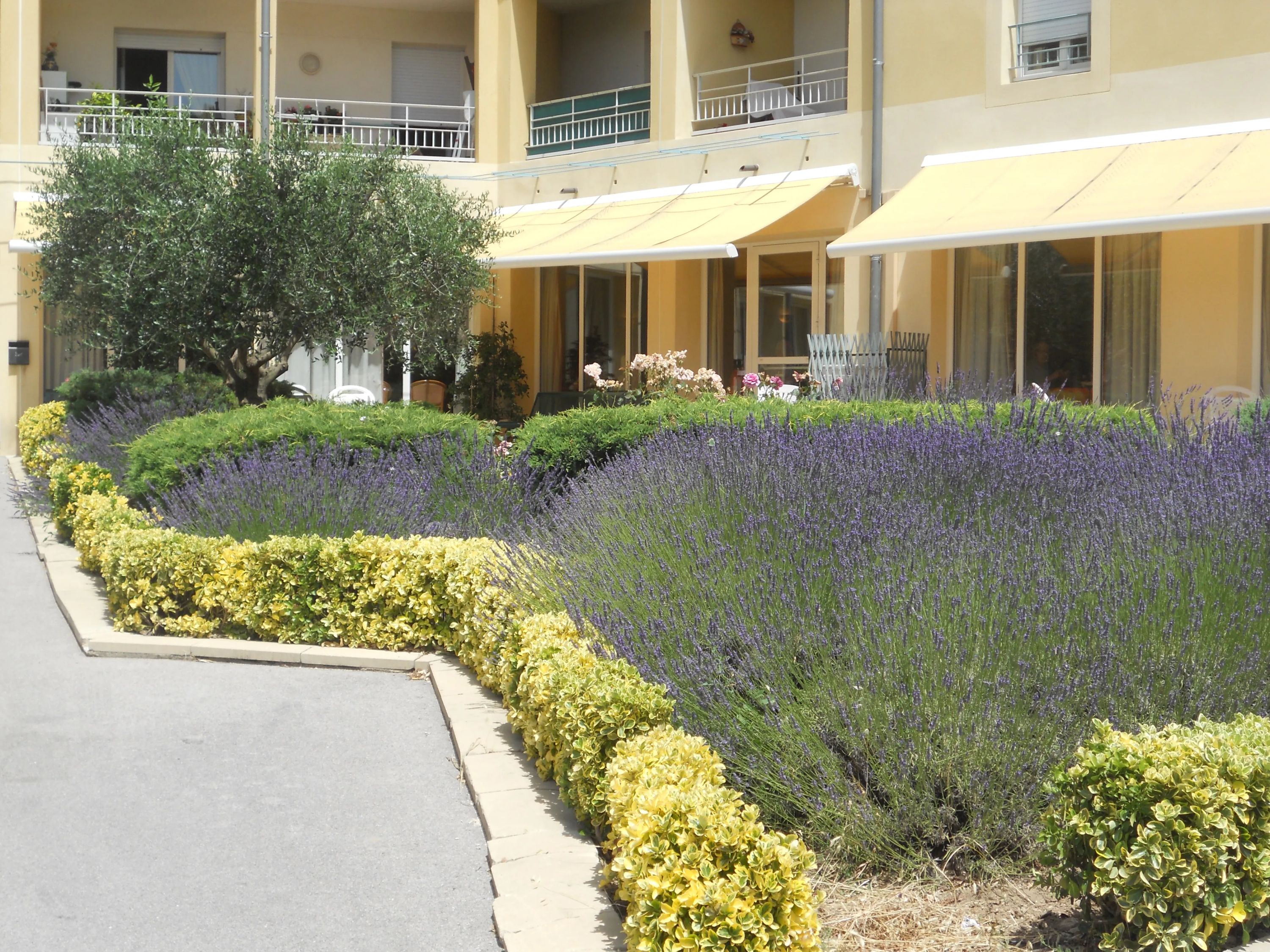 Photo de Résidence Services Les Seniors